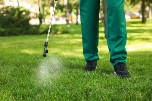 Best Pest Prevention Services  in Tucson Mountains, AZ